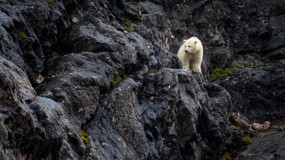 Земля достигла первой переломной точки в климате