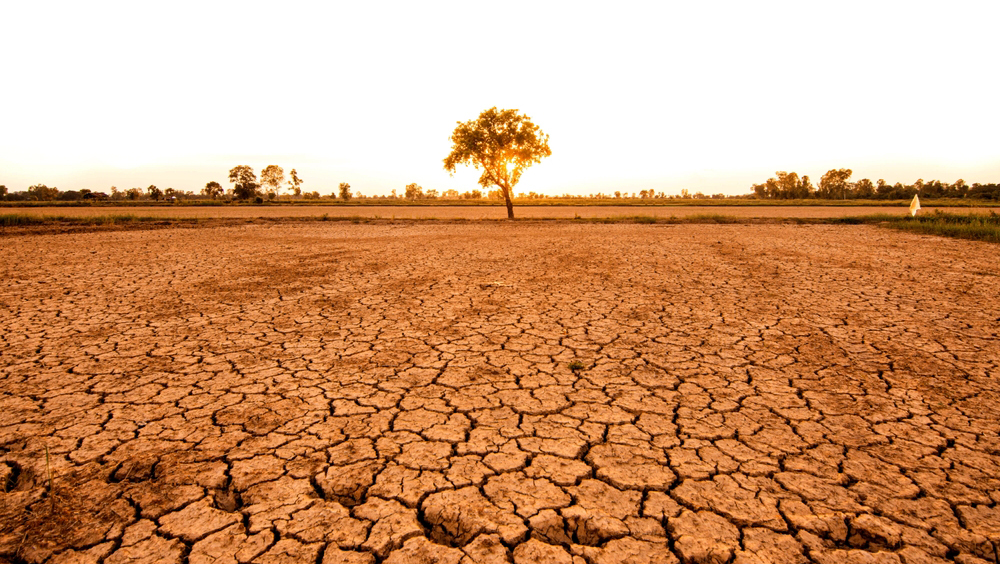 Прогноз на зиму: какие регионы мира ждут рекордные температуры и засухи