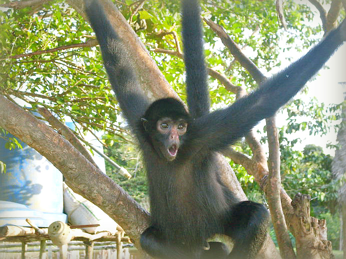 Потрясающий мир, где ты всего лишь гость. Перу