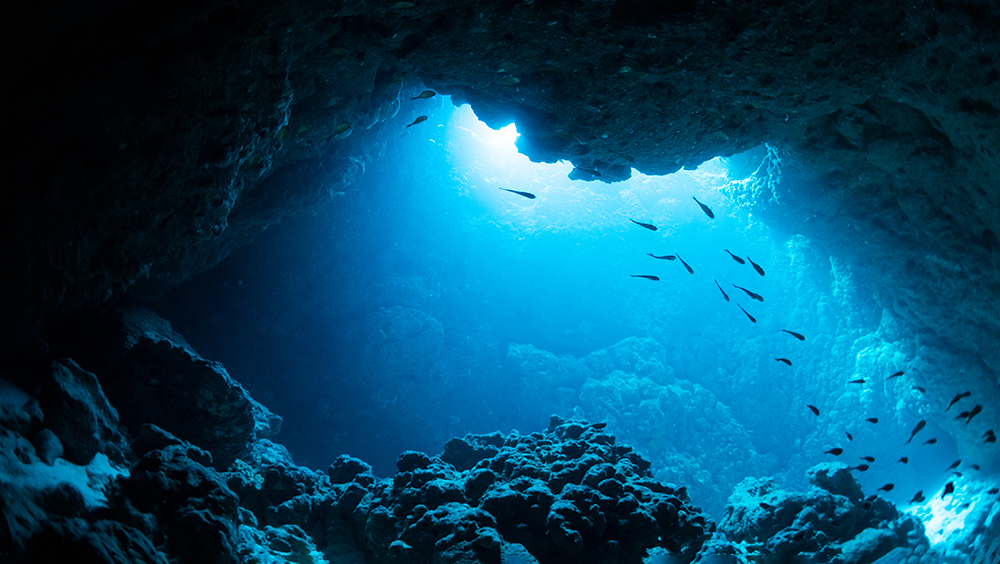 Разгадана тайна загадочных звуков на Бермудах, записанных 80 лет назад