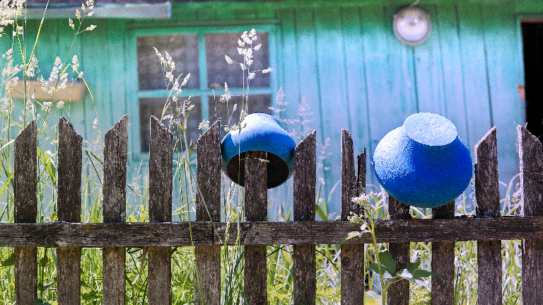 Как Миронов искал разгадку названия села Выдропужск в Тверской области