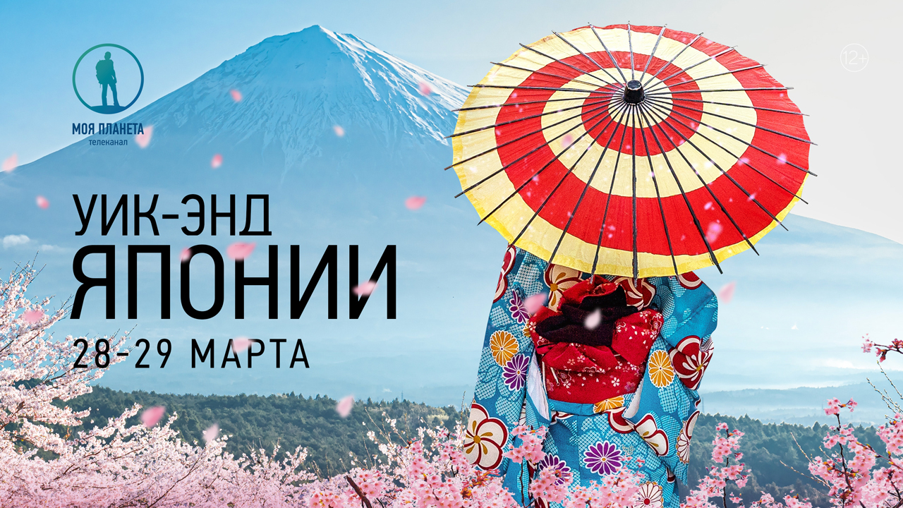 Якудза, роботы-официанты и беззаботная Осака: уик-энд Японии на «Моей Планете»