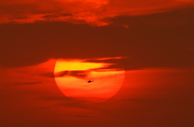 Найдена причина рекордной жары 2023-2024 года