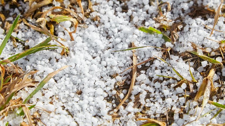 Ледяная крупа: зимние осадки, которые часто путают со снегом или градом