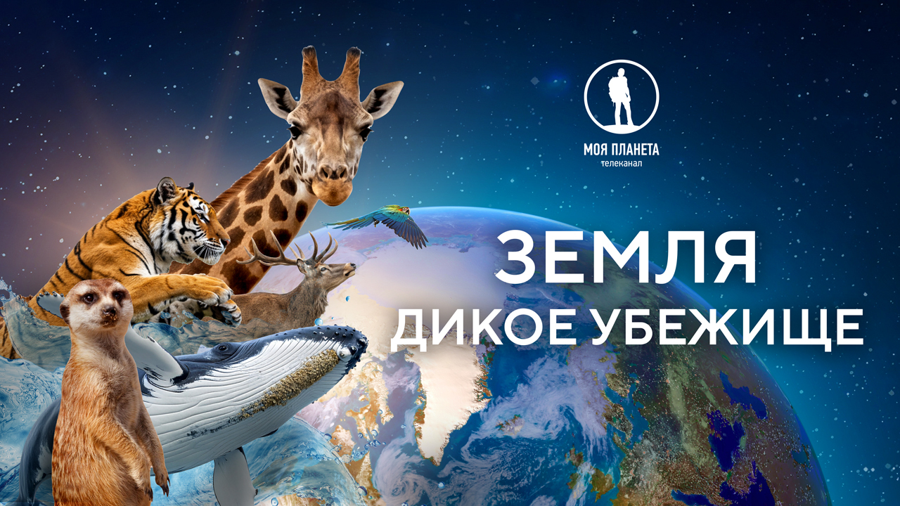 Путешествие на край света: премьера документального фильма «Земля. Дикое убежище» на «Моей Планете»