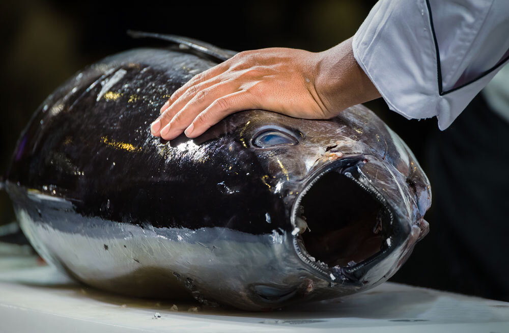 В Японии съели гигантского тунца за 3,2 миллиона долларов