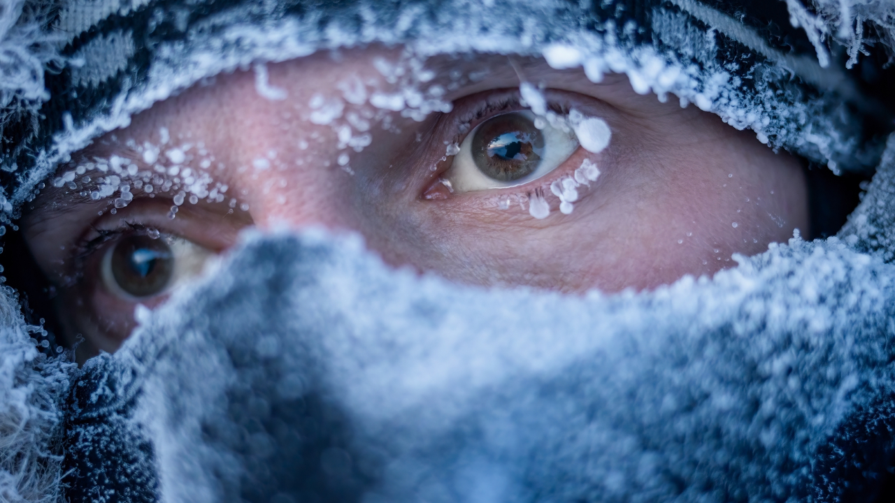 Как ледниковый климат повлиял на эволюцию человека 2,7 млн лет назад