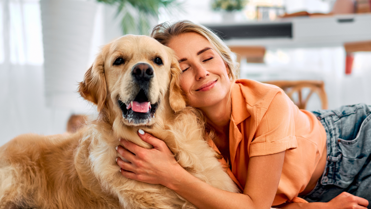 У ретриверов и людей нашли общие гены, отвечающие за поведение