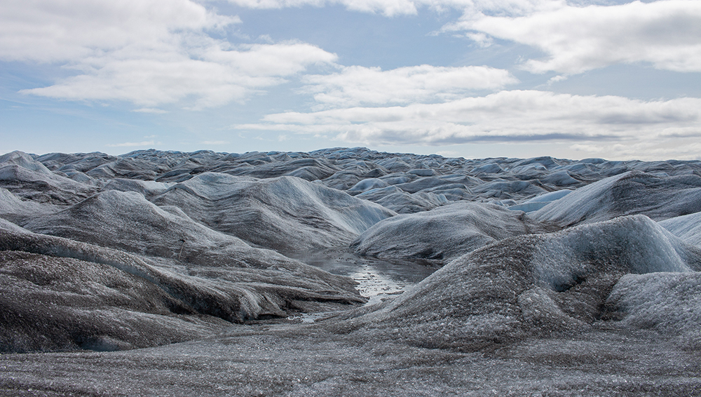 Скрытая форма жизни меняет цвет льда в Гренландии и ускоряет его таяние