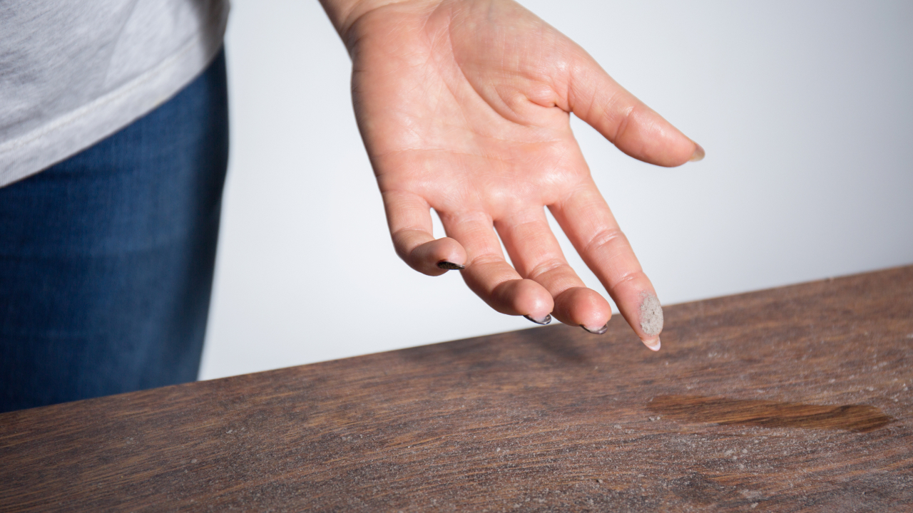 Правда ли, что пыль — это частицы человеческой кожи