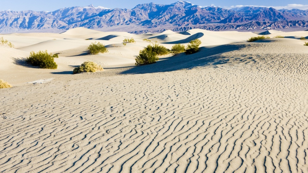 Древнее озеро в Долине Смерти вновь появилось после рекордных ливней