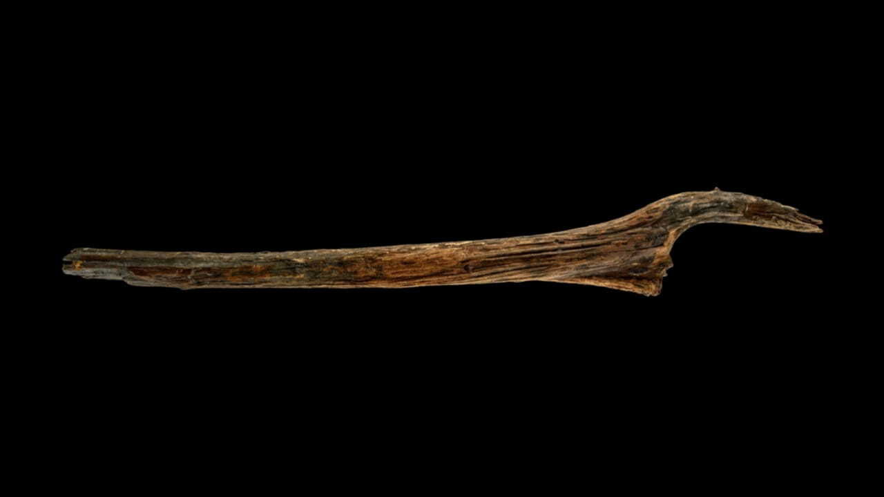 Под немецким озером обнаружены постройки возрастом 10 500 лет