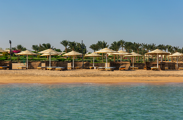 В Египте закрыли пляжи после нападения акулы на россиянина