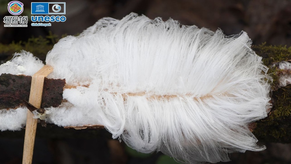 Лед может быть волосатым: редкое явление сняли в Башкирии