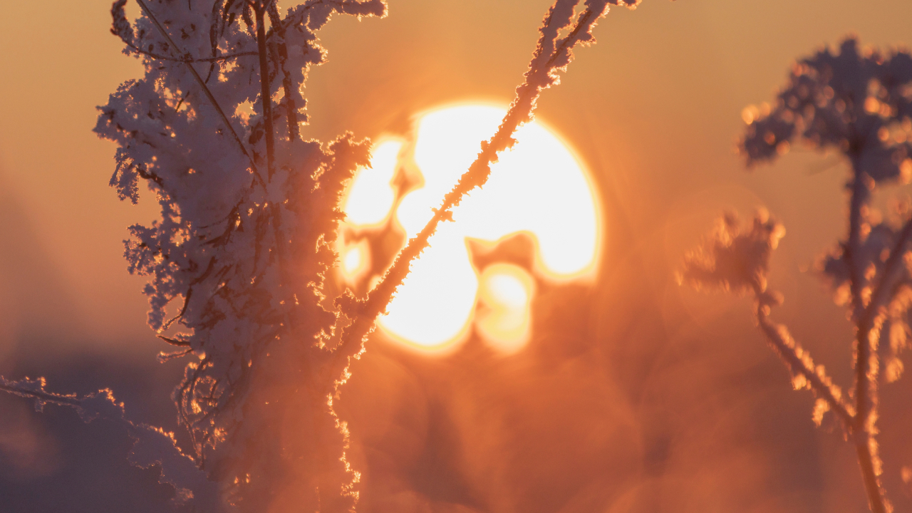 Почему Земля ближе всего к Солнцу зимой