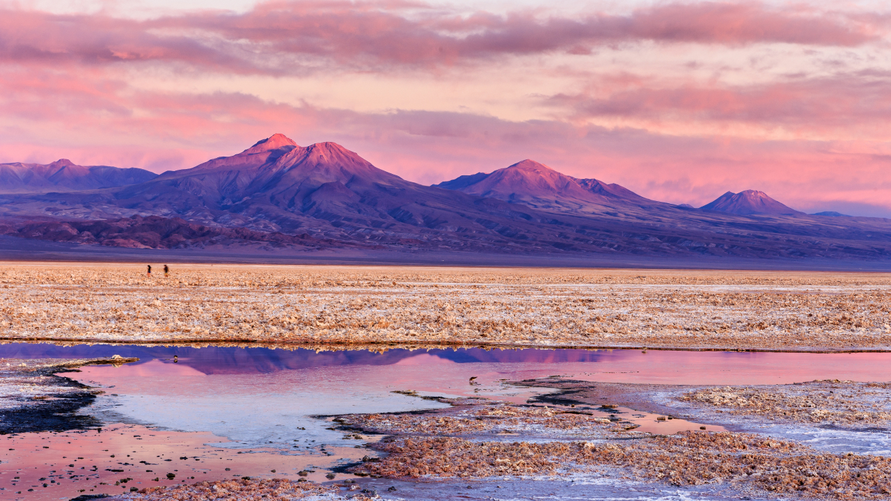 Самое засушливое место на Земле превратилось в цветущий сад