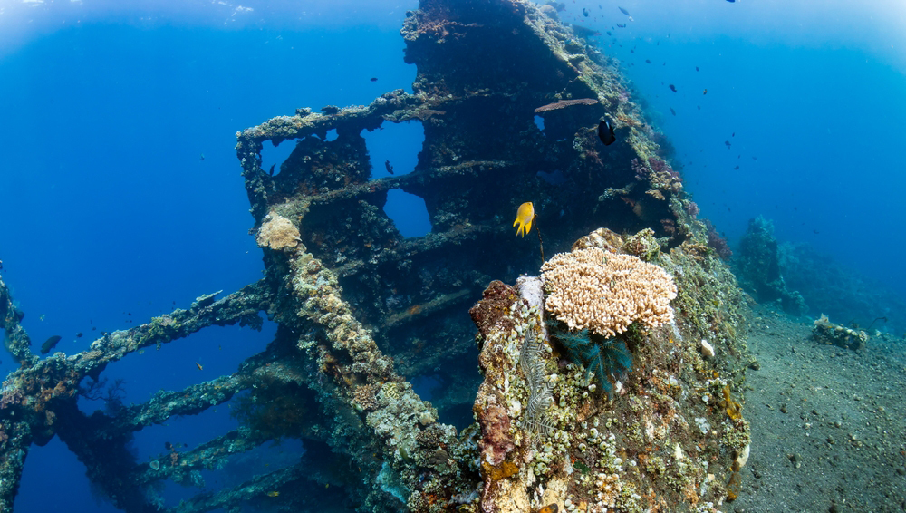 Древнее кладбище кораблей обнаружено у побережья Ливии