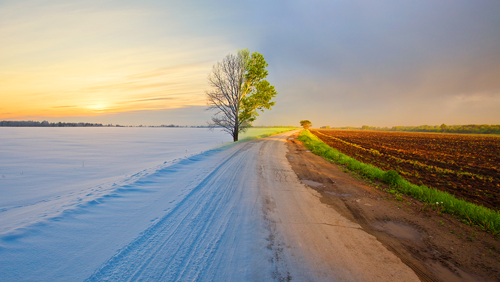 Сезонные ритмы Земли под угрозой: как изменение климата нарушает природные циклы