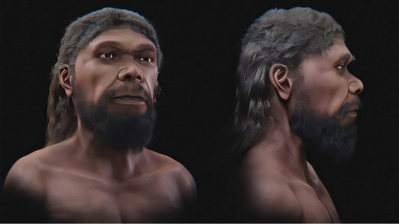 Палеонтологи воссоздали лицо Homo sapiens возрастом 315 000 лет