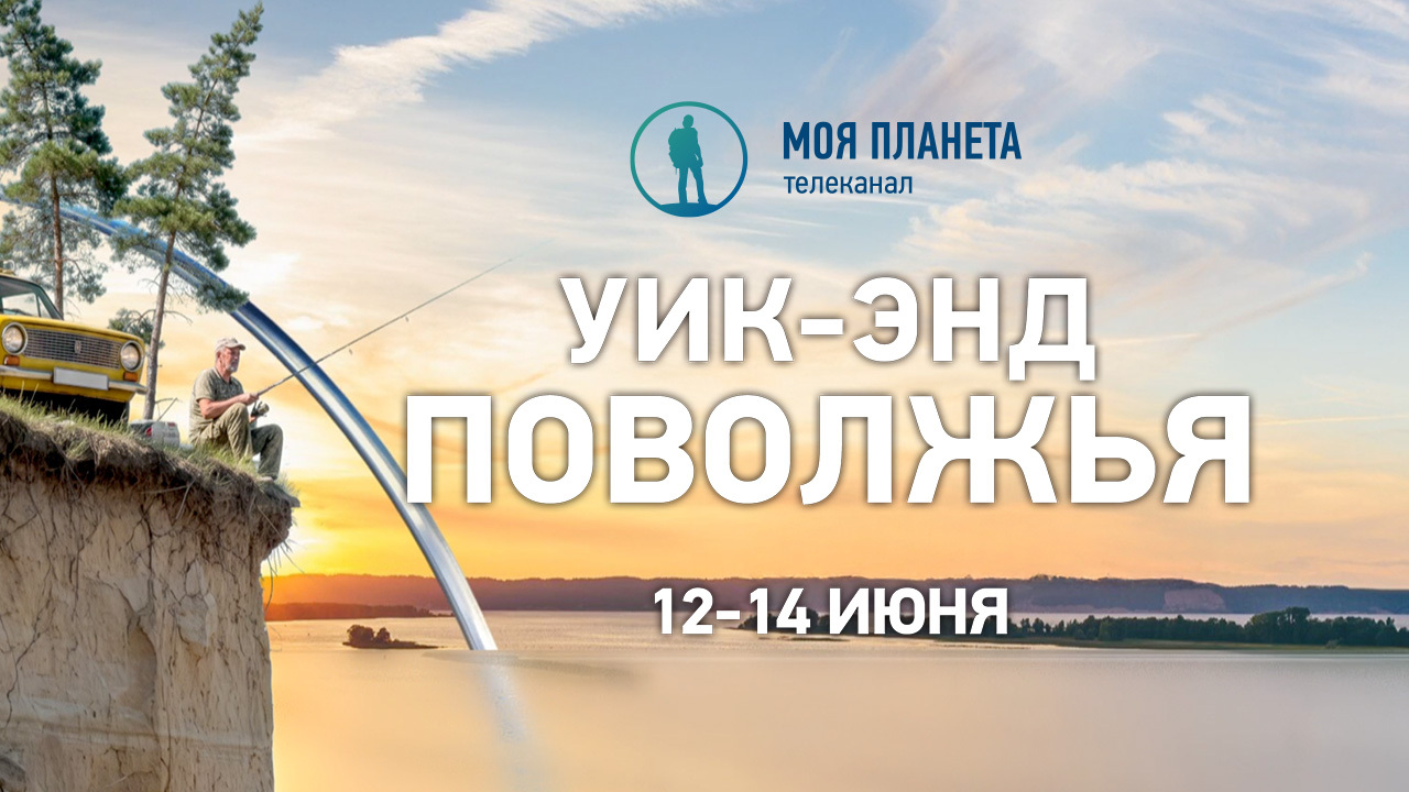 Лотосовые поля, марсианские пейзажи и матушка-река: уик-энд Поволжья на «Моей Планете»