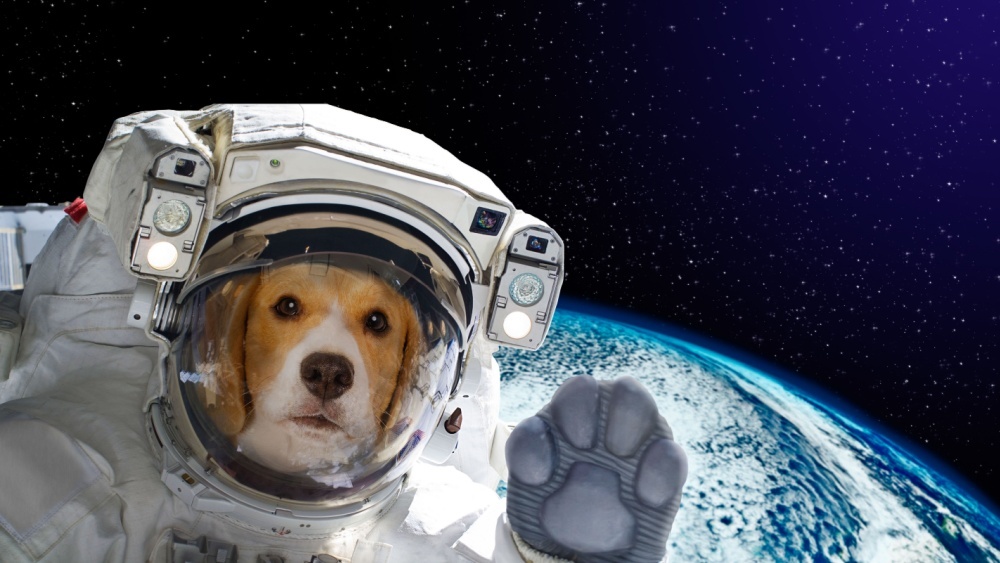 10 космических мифов, в которые пора перестать верить