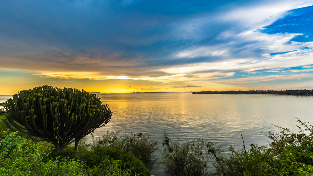 На берегу крупнейшего в Африке озера Виктория хотят построить АЭС