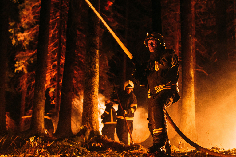 Средства и способы тушения лесных пожаров