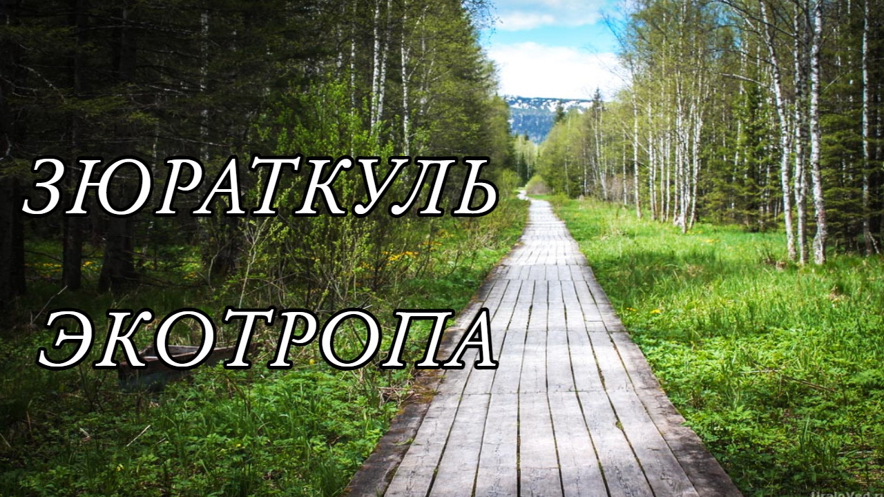 ЭТО УРАЛ, детка! ЗЮРАТКУЛЬ. Поход на хребет по экотропе.