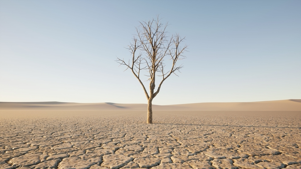 Земная суша высыхает беспрецедентными темпами: исследование