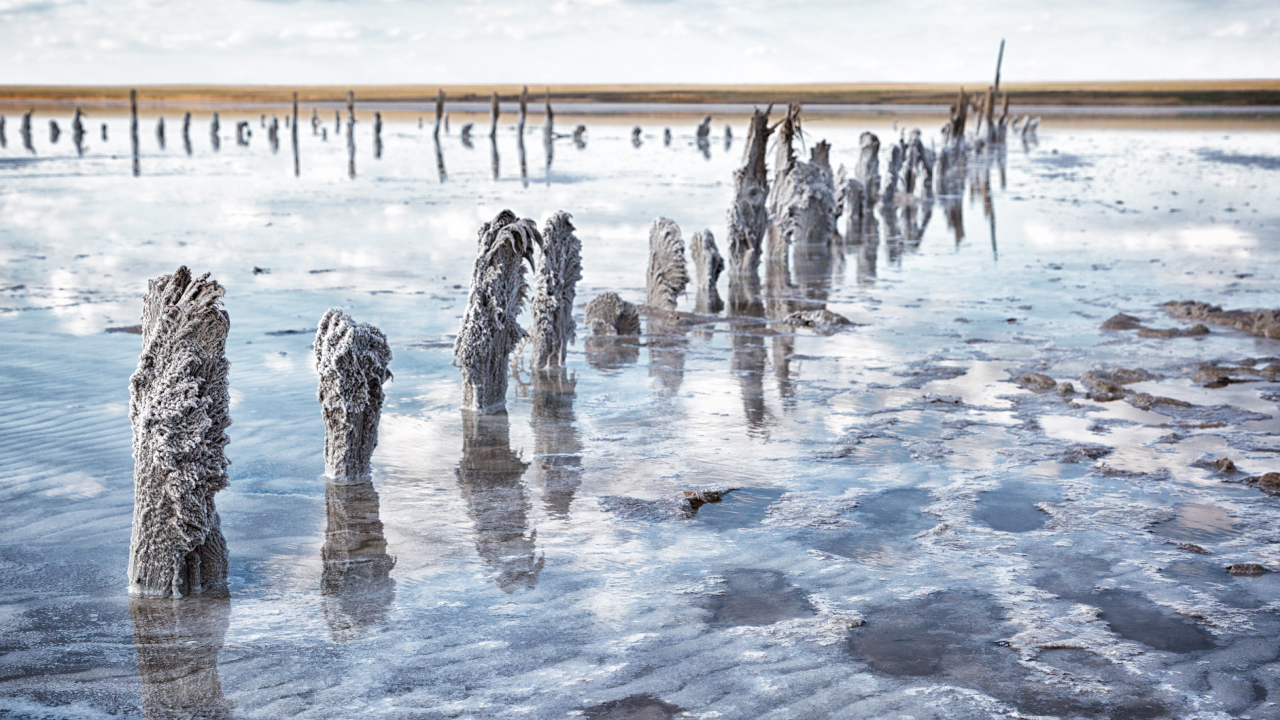 Озеро Эльтон: соляное чудо Волгоградской области