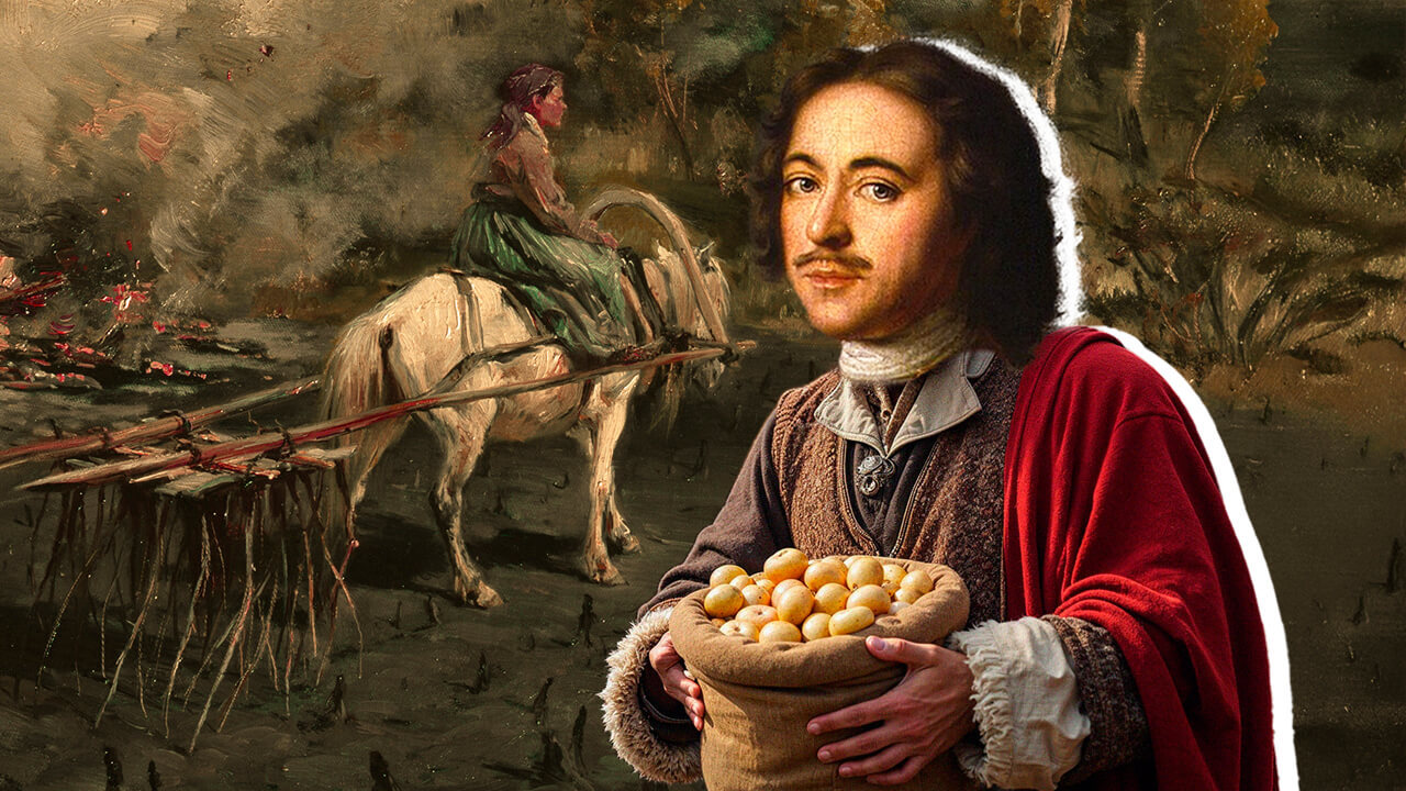 Как картофель сменил репу на Руси