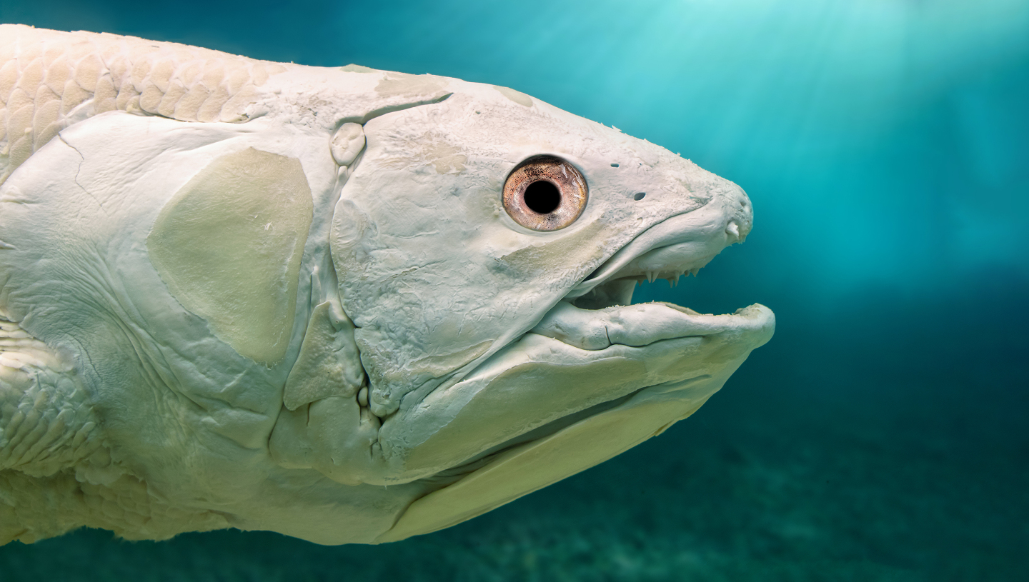 интересные факты