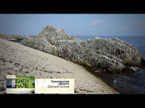 Телебиеннале. Сахалинская область