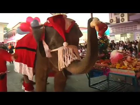 Слон Санта-Клаус