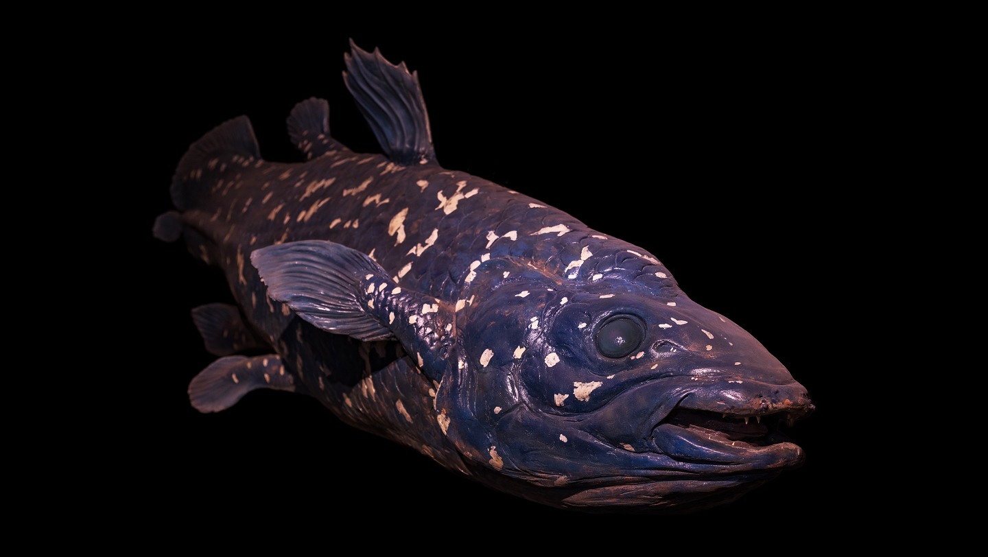 образ жизни