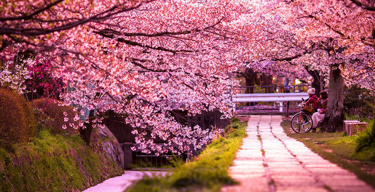 Путешествия начинаются здесь: Япония