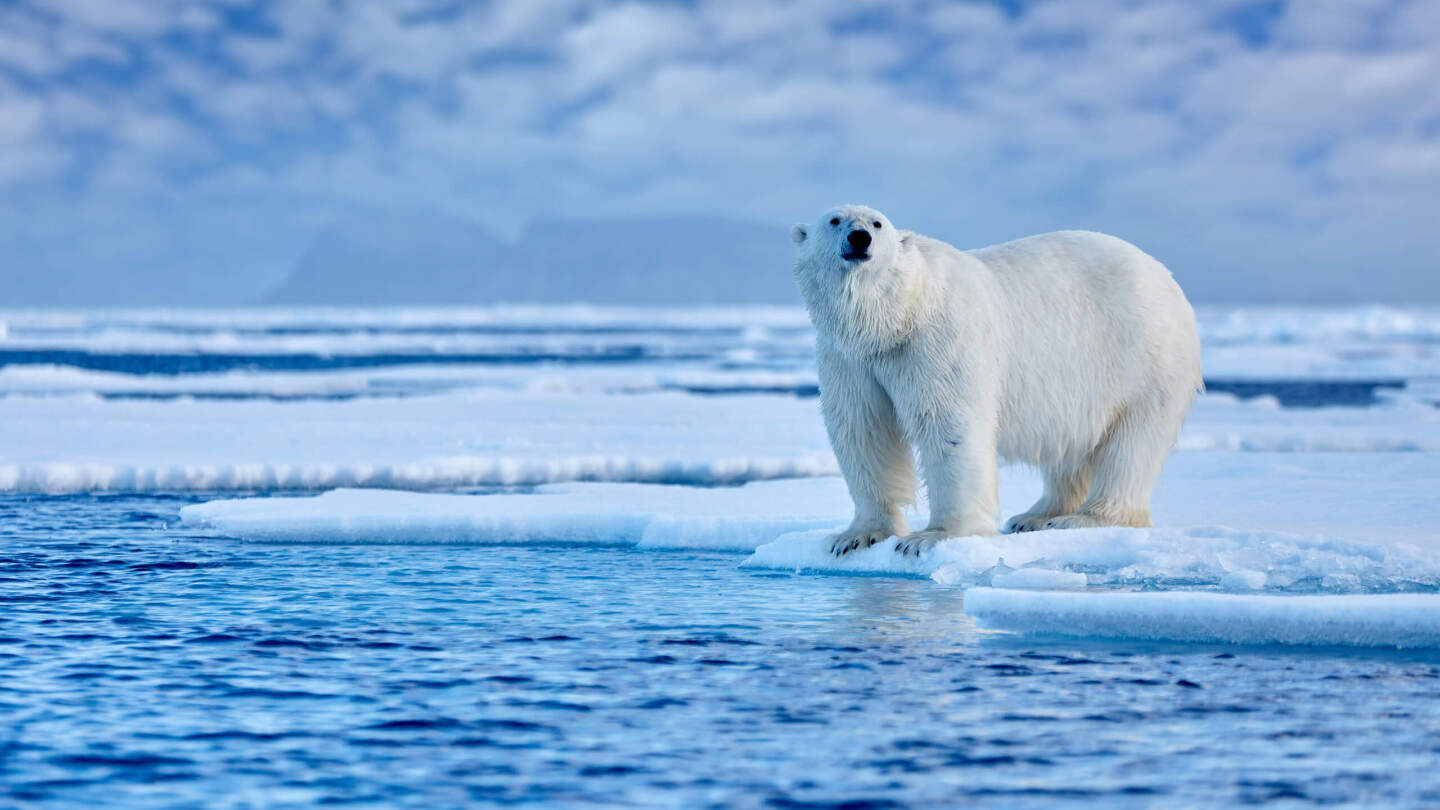 Shestak Vera/Shutterstock/FOTODOM