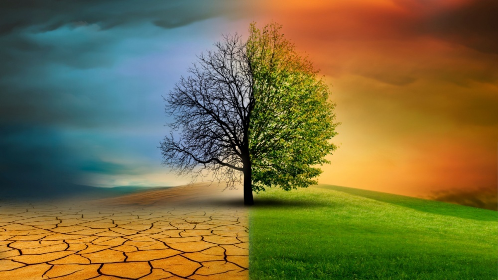 Новая технология поможет замедлить глобальное потепление