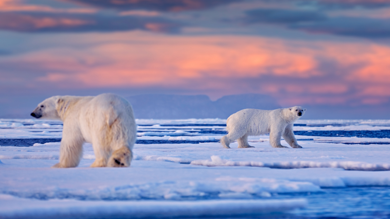 На «Полюсе холода» зафиксирован самый теплый январь за всю историю