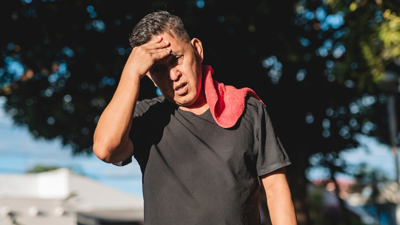 Метеорологи прогнозируют новый пик глобальной жары