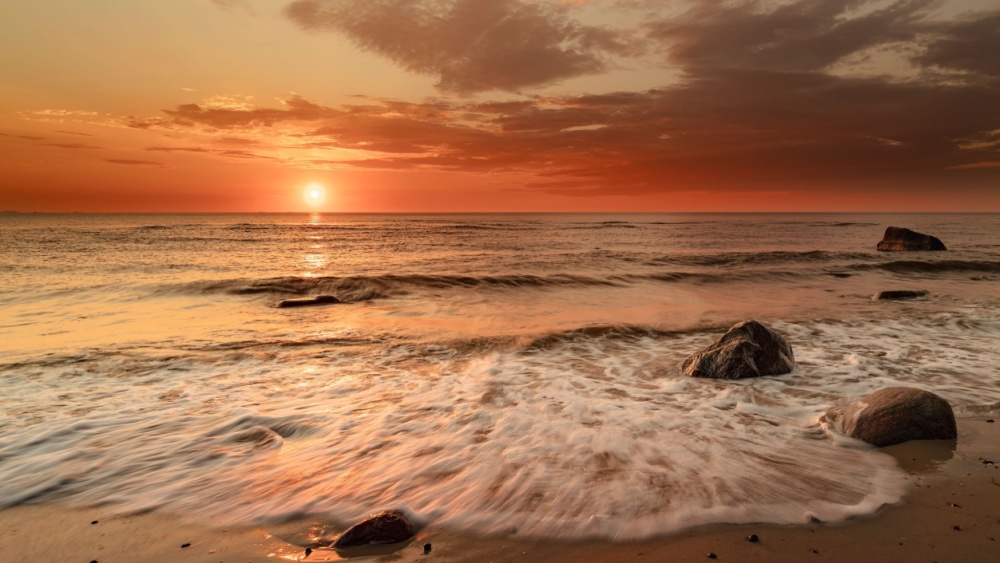 Шведы нашли способ сделать из экологической катастрофы на Балтике источник дохода