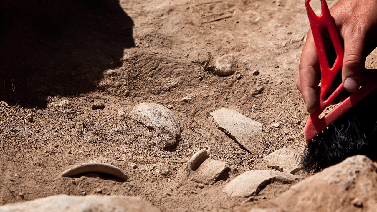 Редкая находка: древний кинжал возрастом 3500 лет найден в сердце Германии