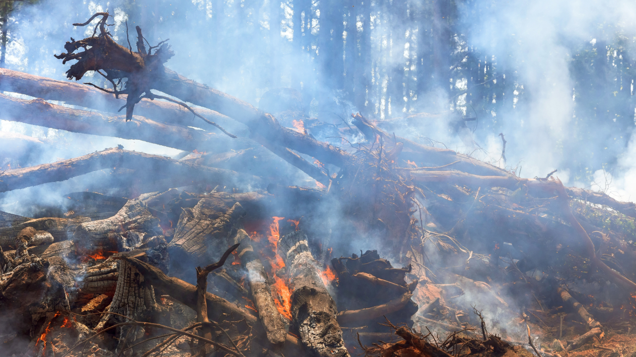 Почему от огня идет дым