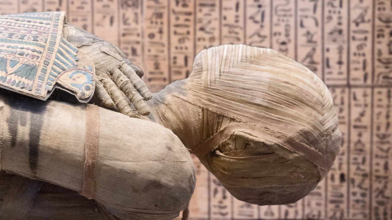 О чем молчат мумии