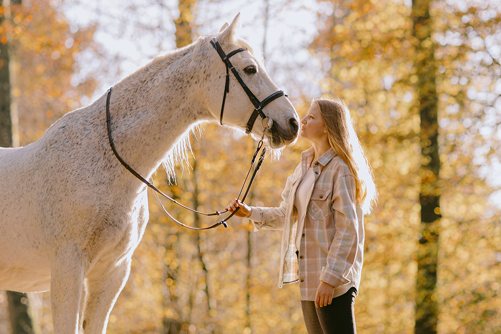 Найдено удивительно простое объяснение, почему у лошадей морды длинные, а у людей лица плоские