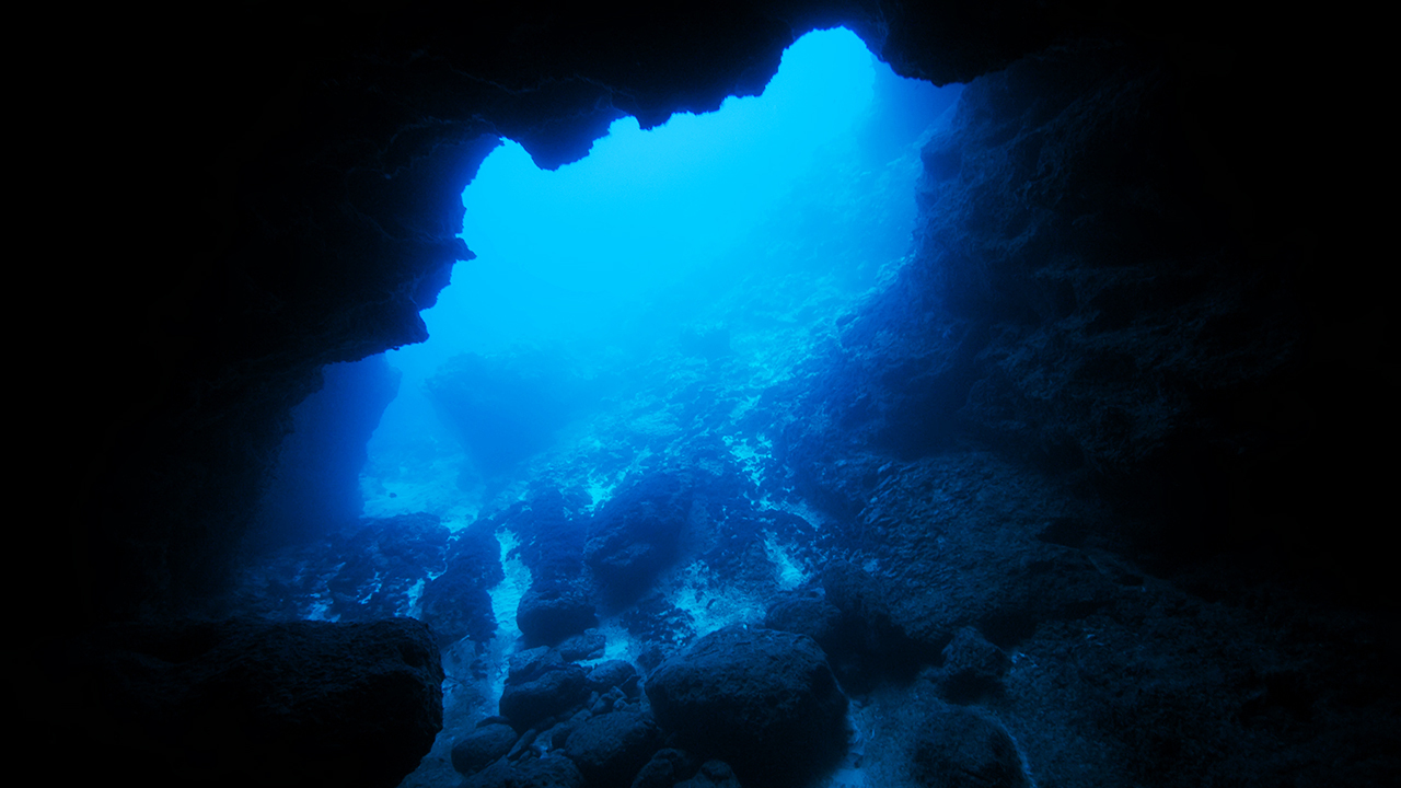 Марианская впадина: Эверест наоборот