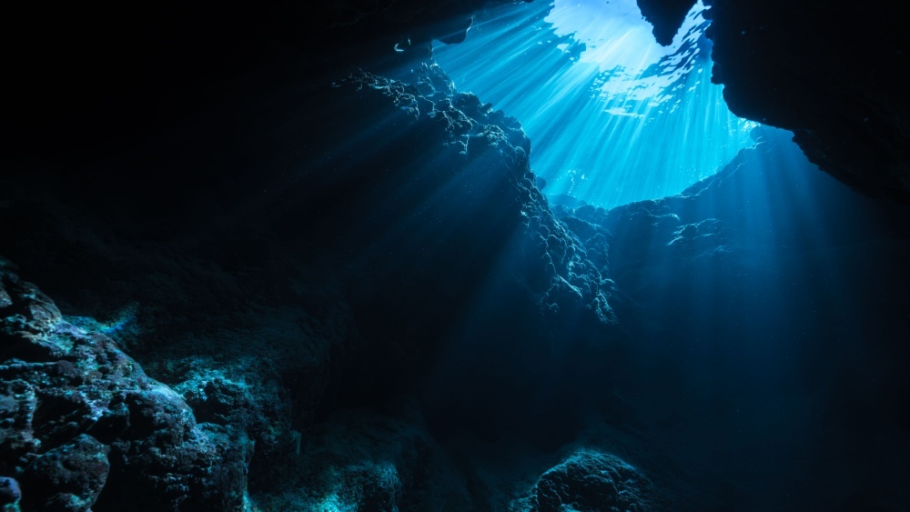 Как животные научились жить на экстремальной глубине: исследование