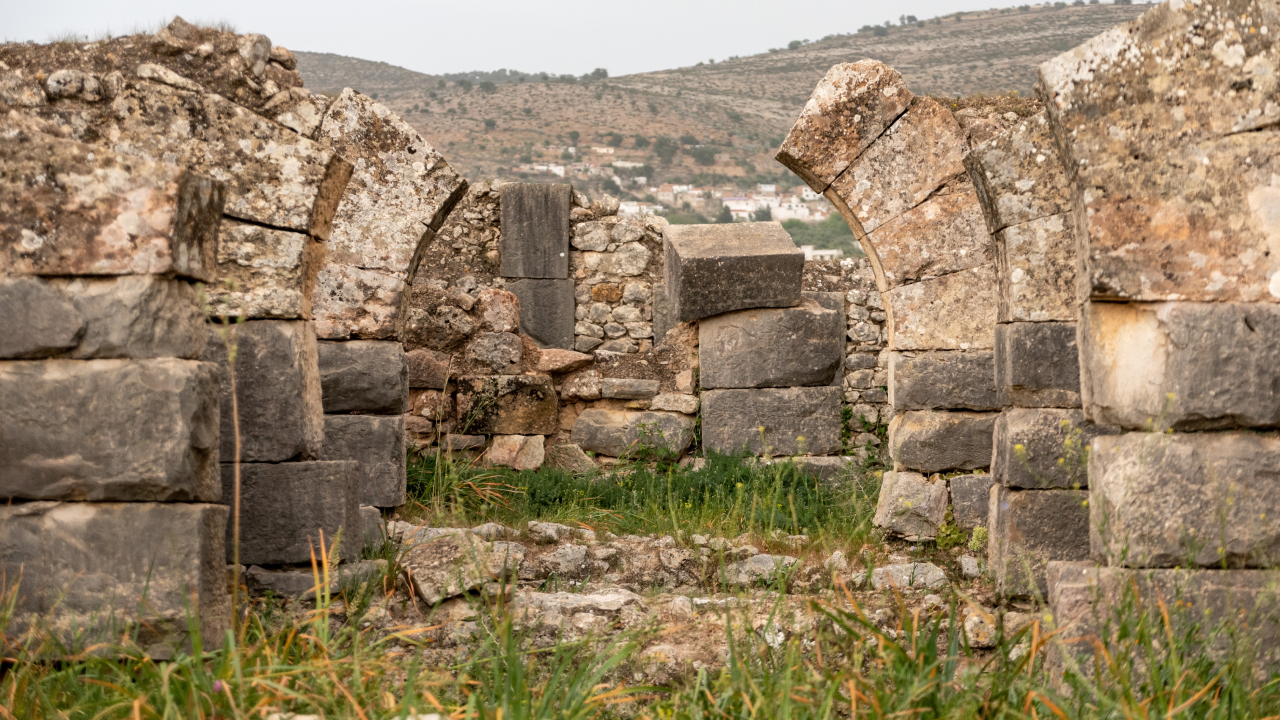 На снимках с орбиты заметили четыре неизвестных римских лагеря