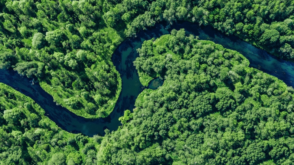 Биологи: теплолюбивые растения стали вытеснять холодолюбивые по всей Европе