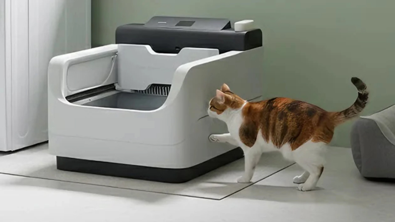 В Гонконге создали ИИ-лоток для кошек